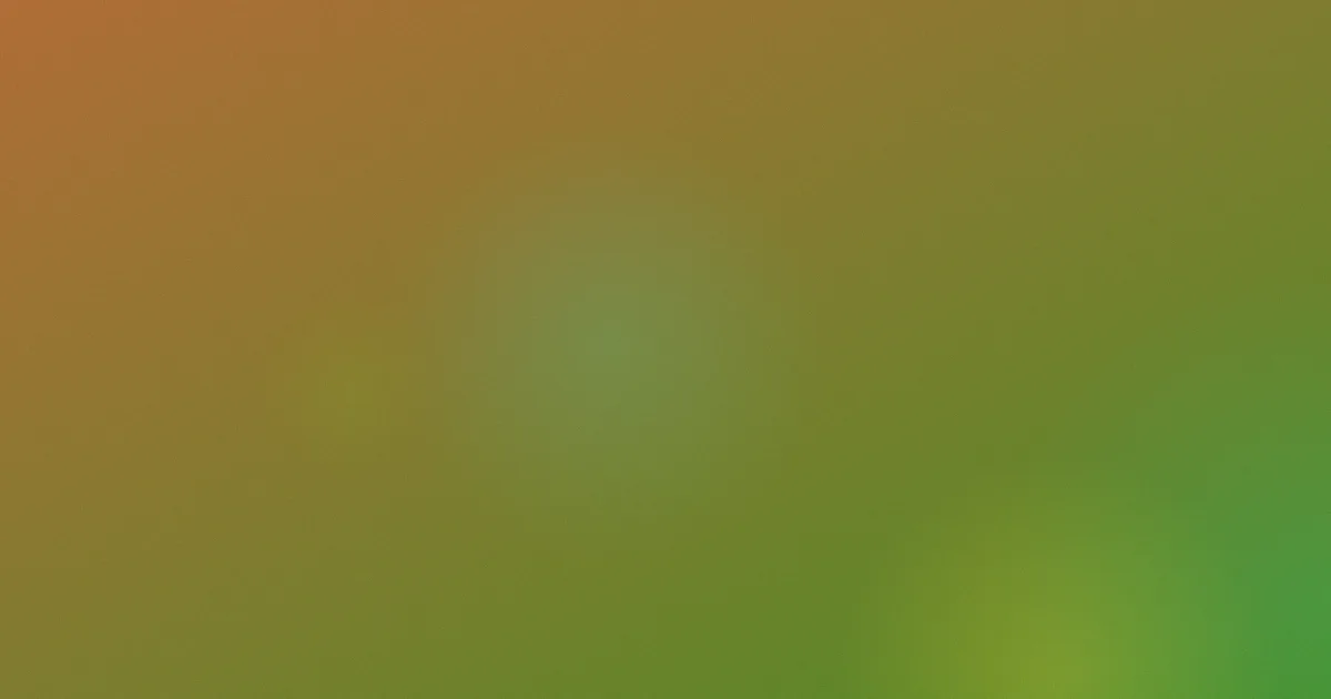 啊啊啊嗯啊推荐：新手这样入门